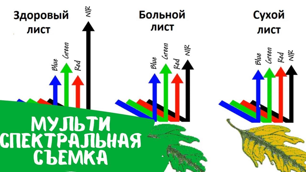 Мультиспектральная съемка с TOPODRONE