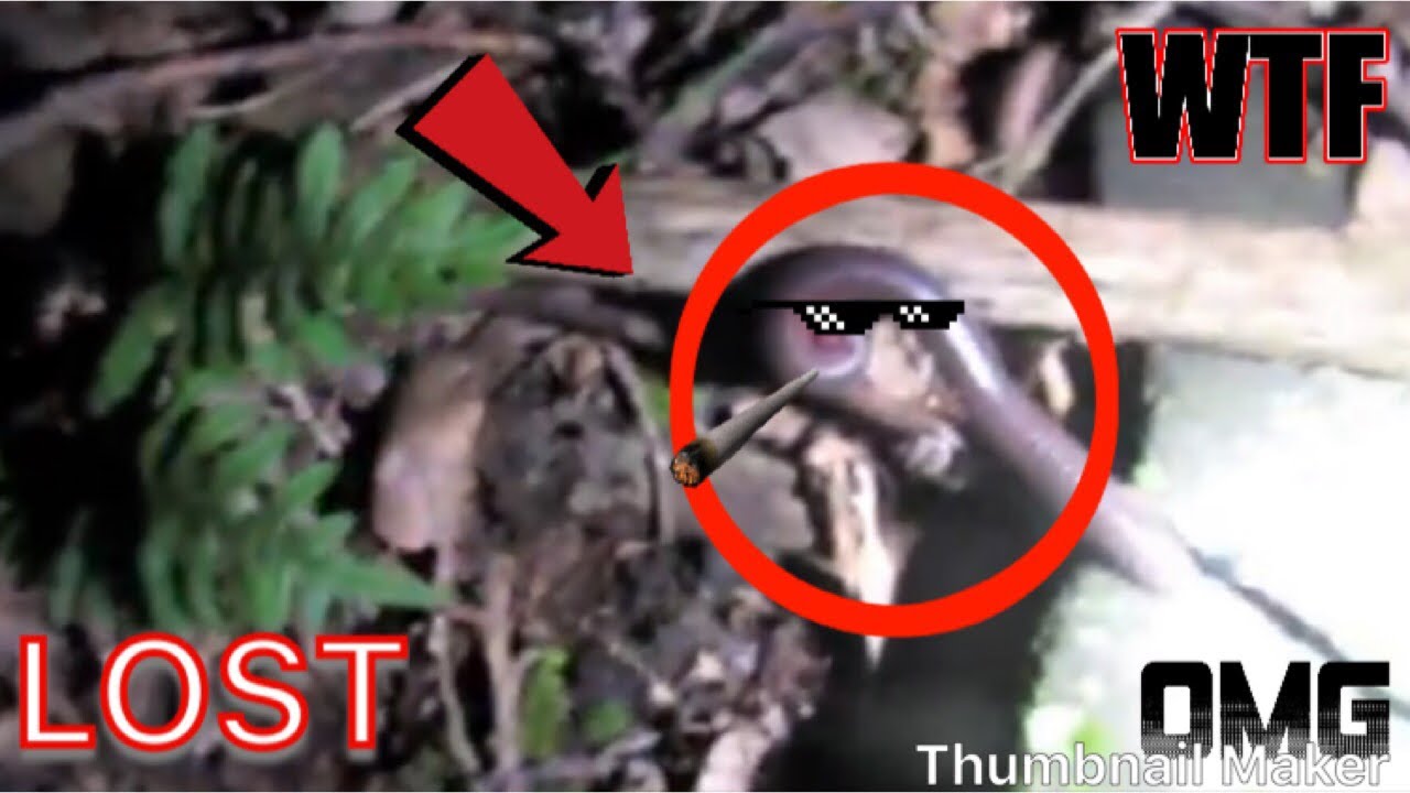 EXPLORING THE HAUNTED TRAIL!! (WE GOT LOST!)