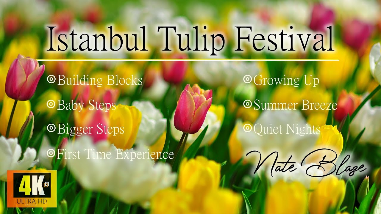 Calm Piano Music • Nate Blaze • Istanbul 2025 Tulip Flowers