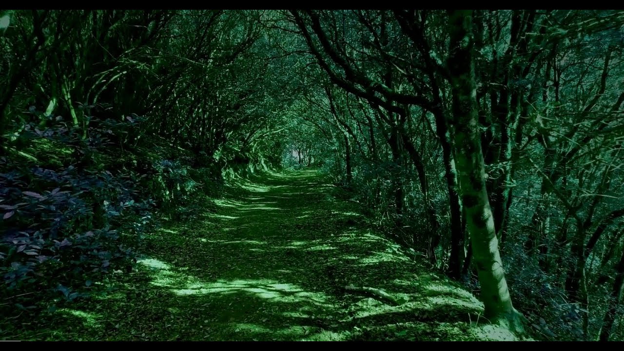 Peaceful Path