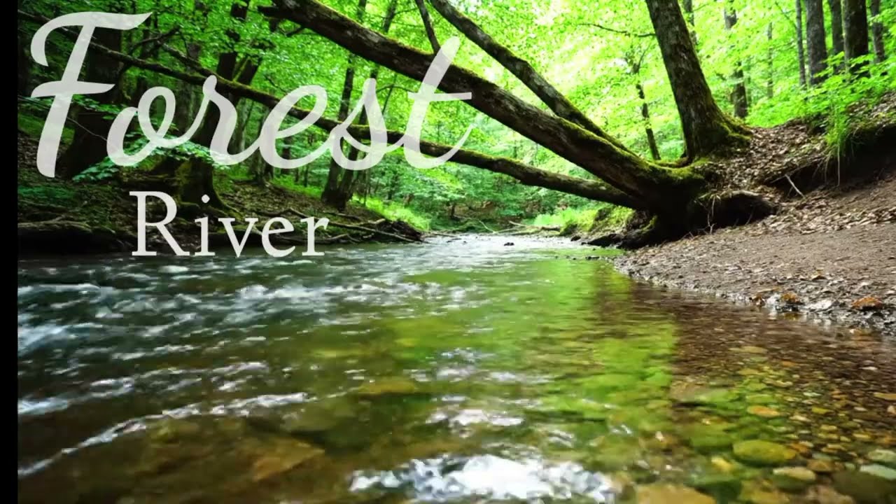 Ultra Relaxing Wilderness River: Gentle Water Flow & Splash Sounds