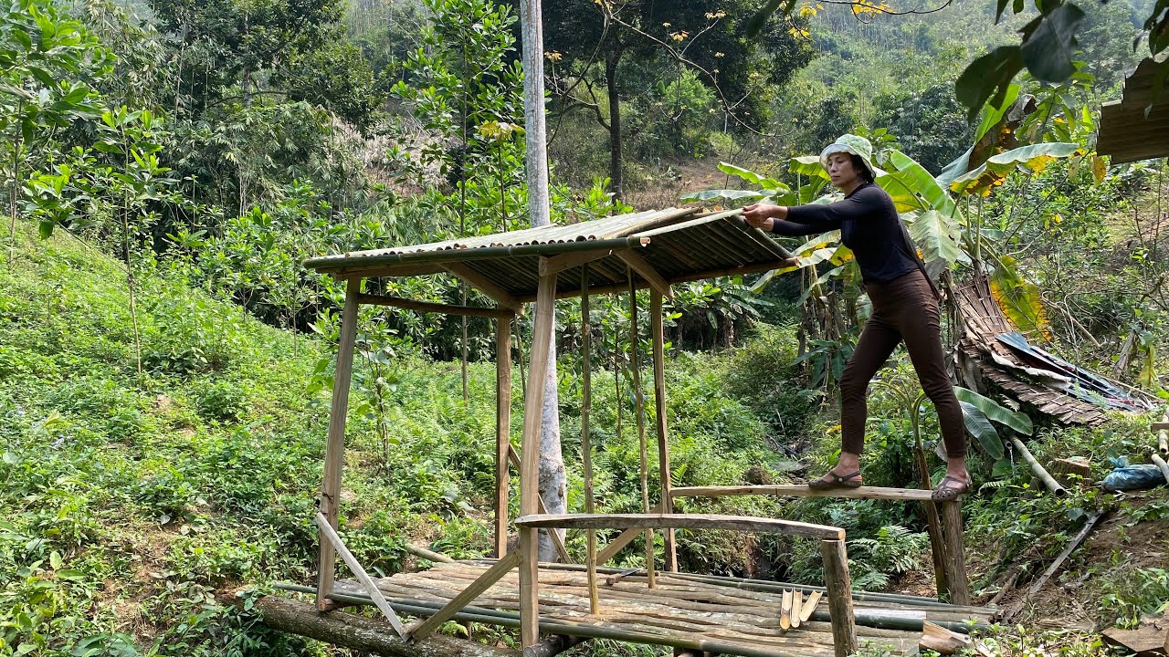 Alone in the Forest – The Power of a Strong Woman