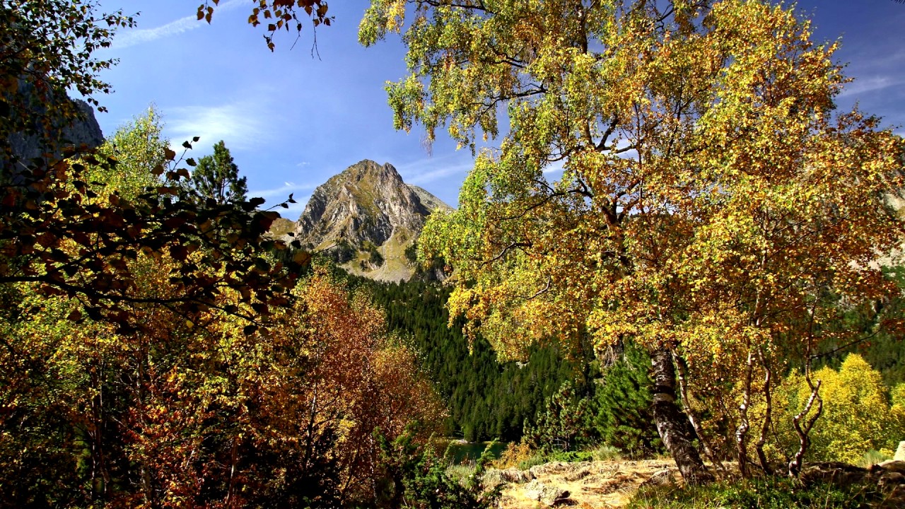 Imatges de Tardor  (Autumn images) HD
