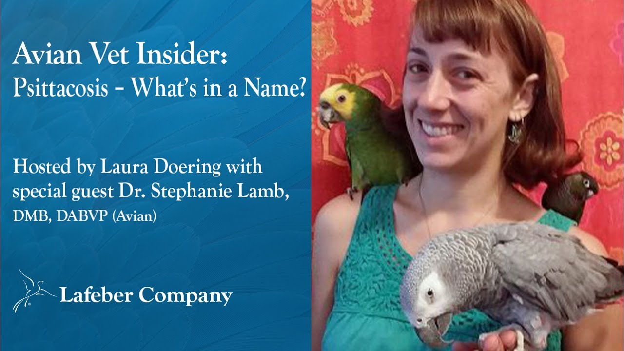 Avian Vet Insider 37: Psittacosis &ndash; What&rsquo;s in a Name?