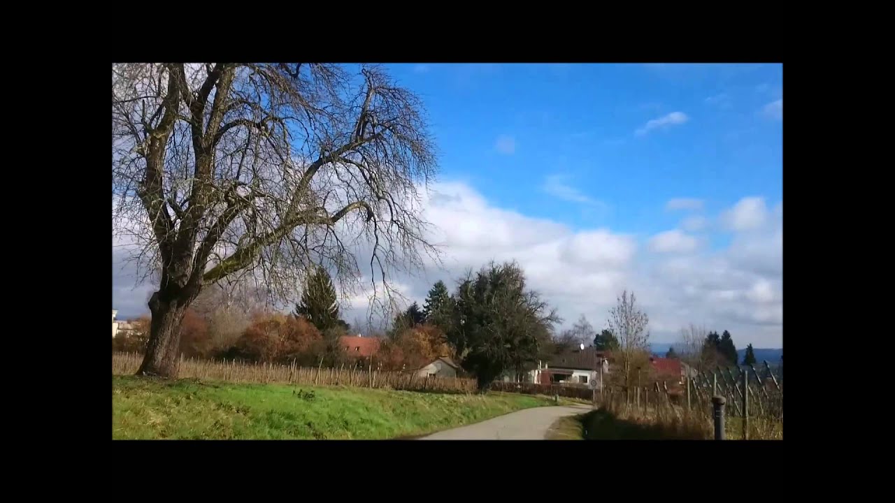 Von Litzelstetten Purren zum Aussichtspunkt 03 03 14