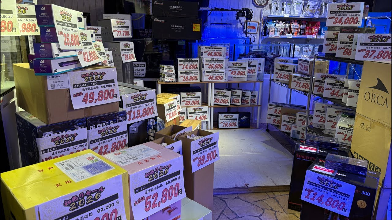 明日から初売り！福袋、機材大特価、生体超お買い得！一挙ご紹介します！