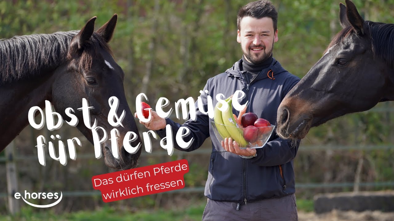 🍎🥕  Obst & Gemüse für Pferde | Das darfst Du füttern! | ehorses Magazin