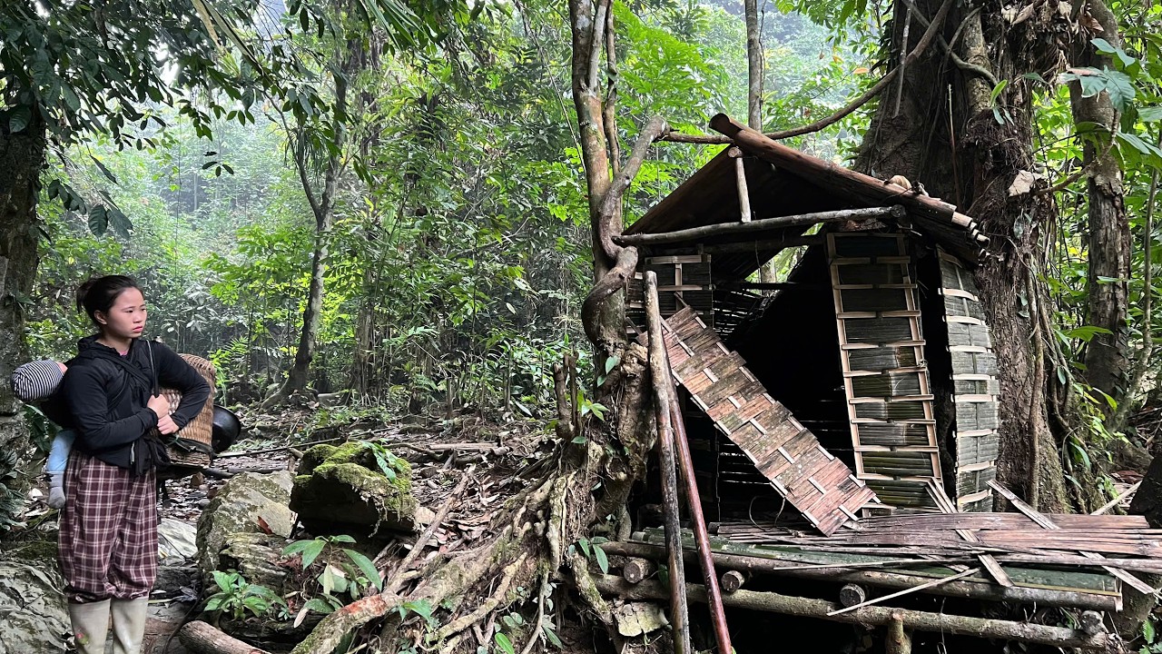 From Survival to Home – A Woman Rebuilds a Forgotten House Hidden in the Forest