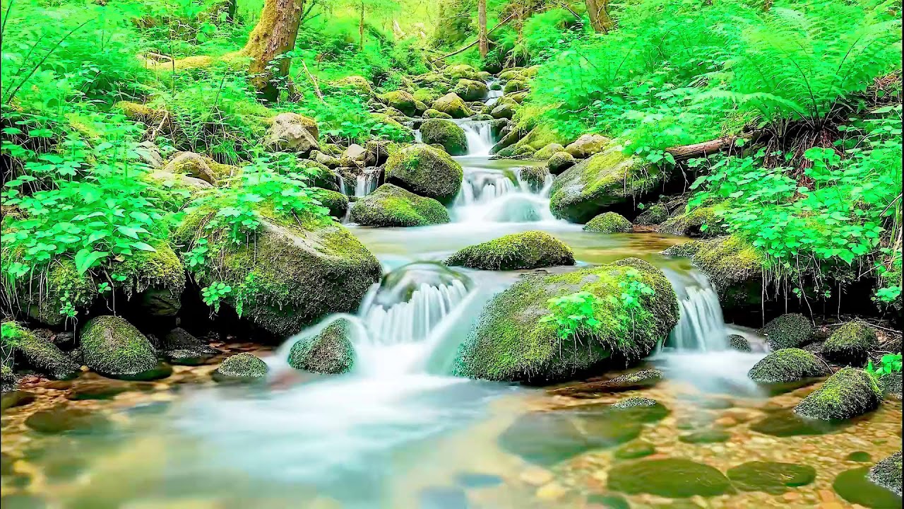 Calming River Sound for Deep Sleep | Natural Healing Ambience for Health and Peace