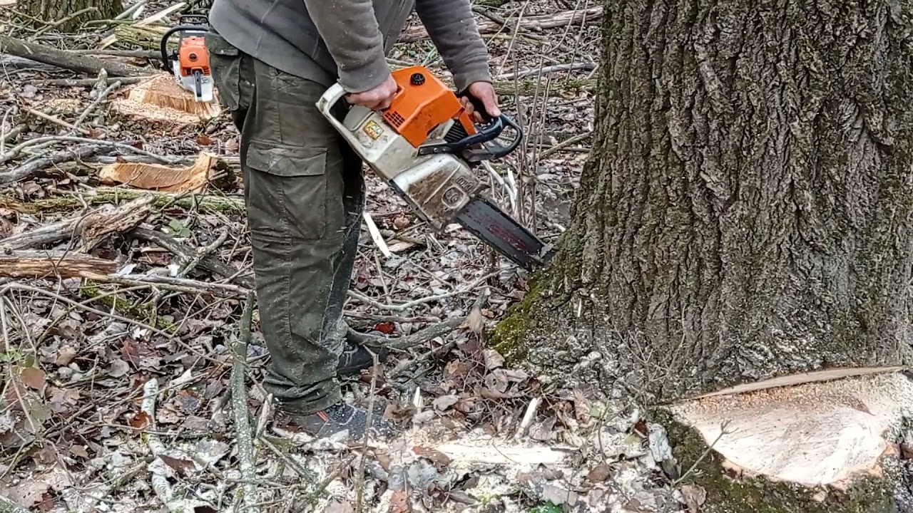 Stihl MS 880