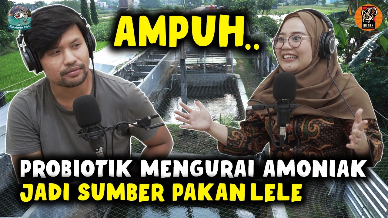 BUDIDAYA IKAN LELE DENGAN GREEN WATER SYSTEM [ GWS ] VERSI SIDOKARTO FISH FARM | HASIL MELIMPAH RUAH