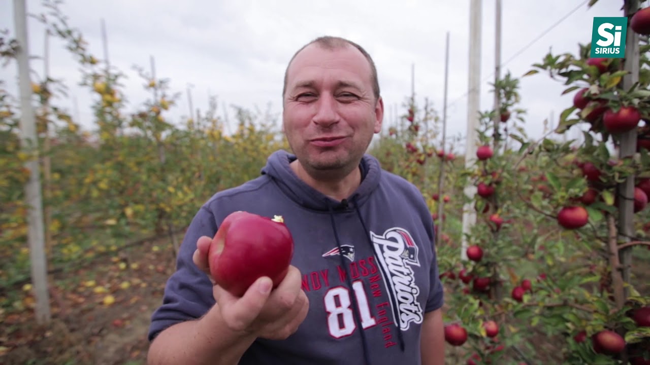 Зачарований край. Яблуневий сад у селі Соловка