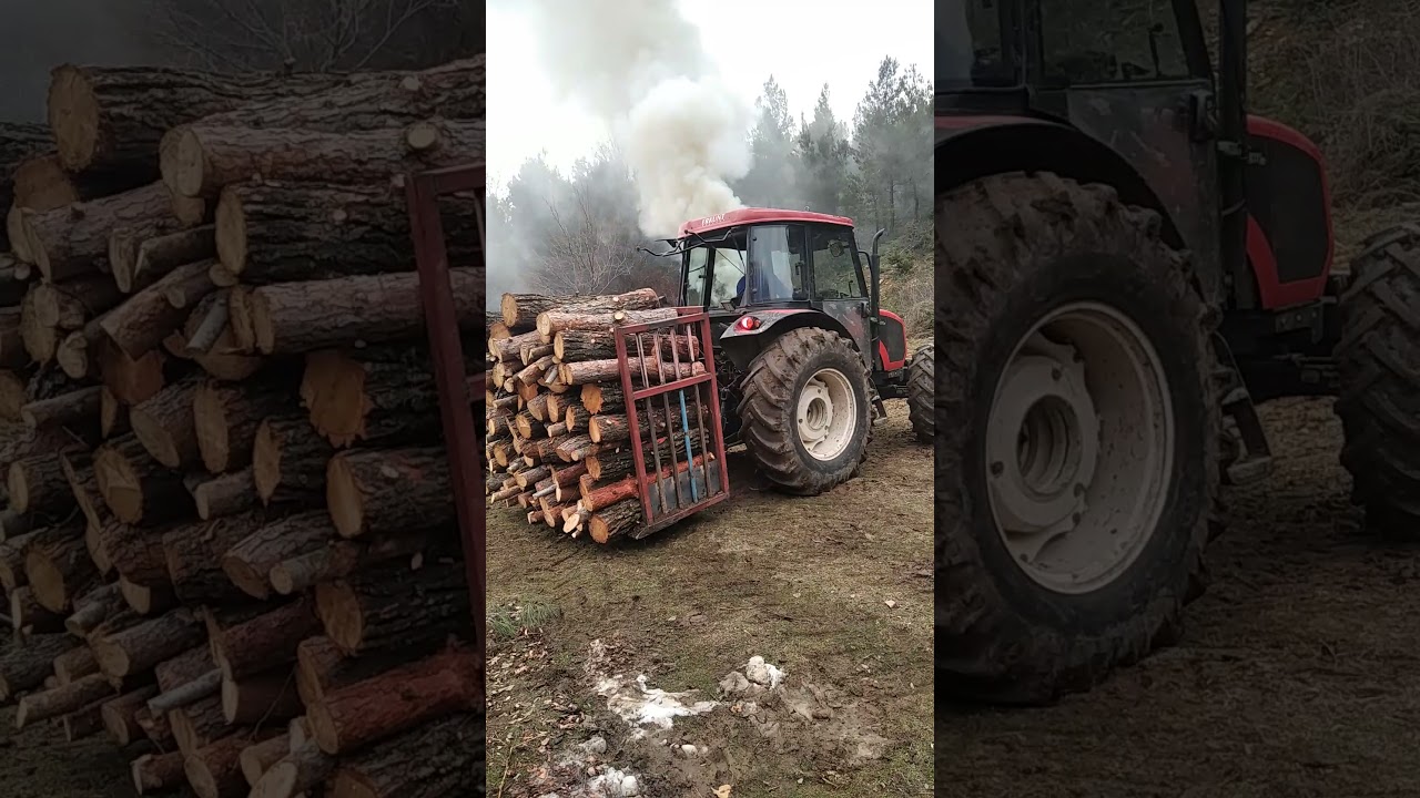 Yerli ve milli zeka! (sepet)