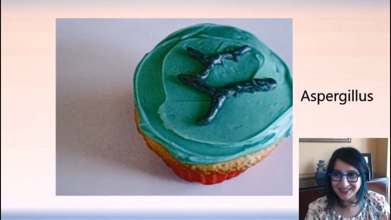 Fungal histopathology, A Piece of Cake