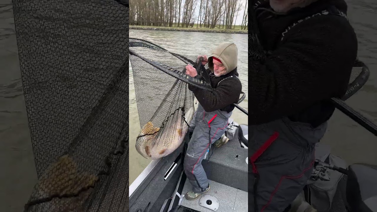 126cm pike #shorts