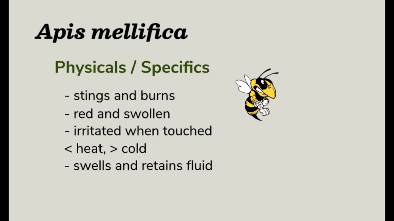 Materia Medica Series #34 Apis mellifica