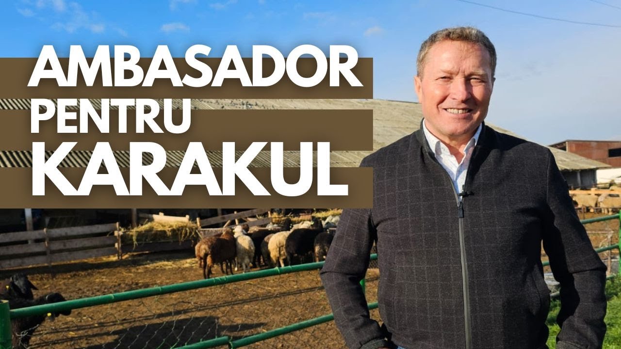 Rasa de oi Karakul de Botoșani - un proiect ca un destin pentru Ionică Nechifor