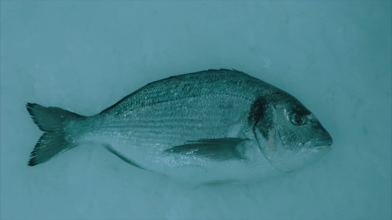 Tanıtım Filmi
