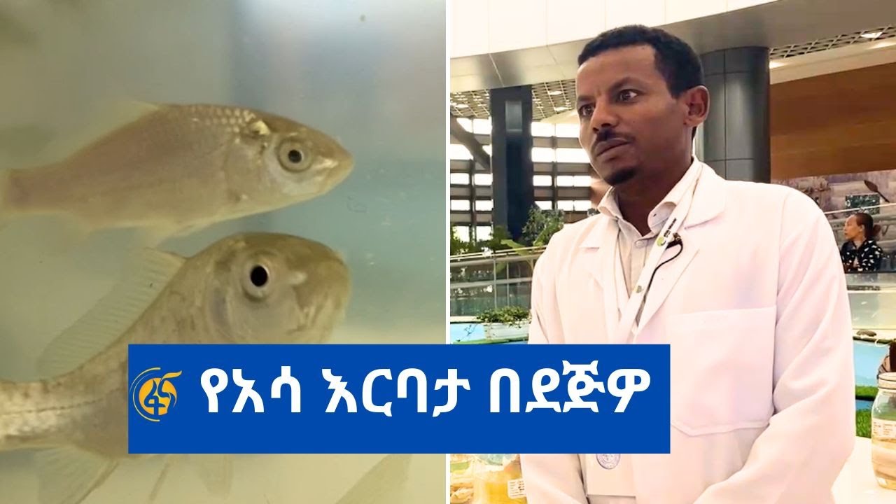 አሳ በደጅዎ