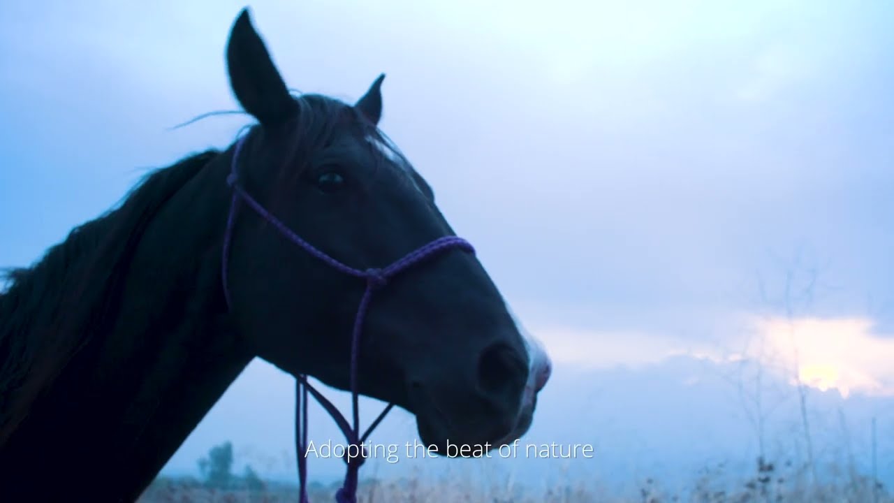 Pereh Hotel Mountain Resort - by Fork & Life