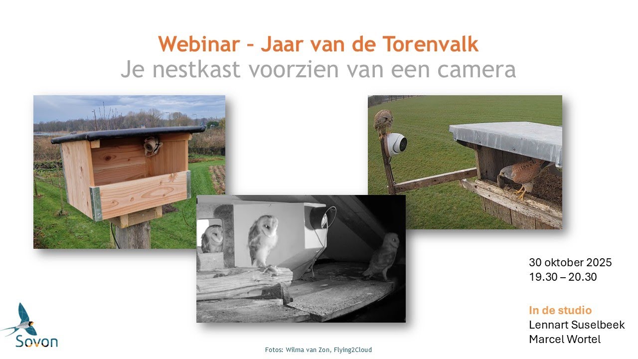 Webinar: je nestkast voorzien van een camera