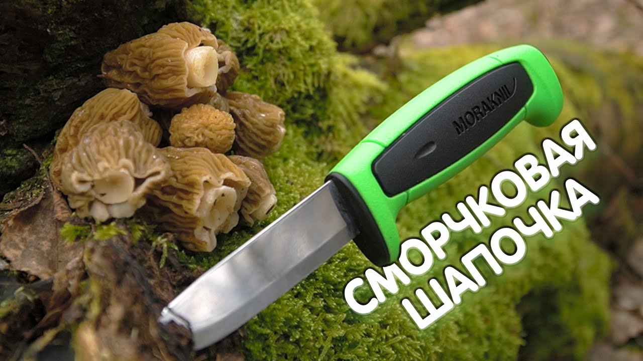 Первые весенние грибы! Дядя Фёдор в поисках сморчковой шапочки.