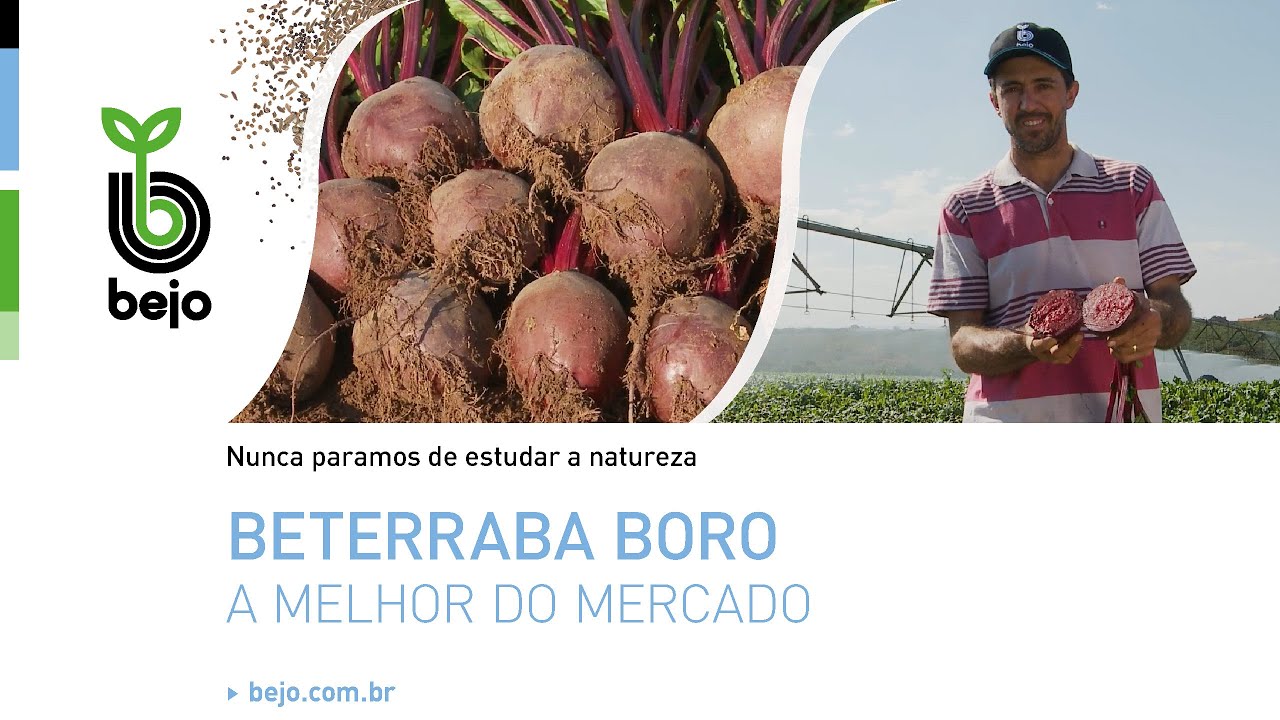 Beterraba Boro