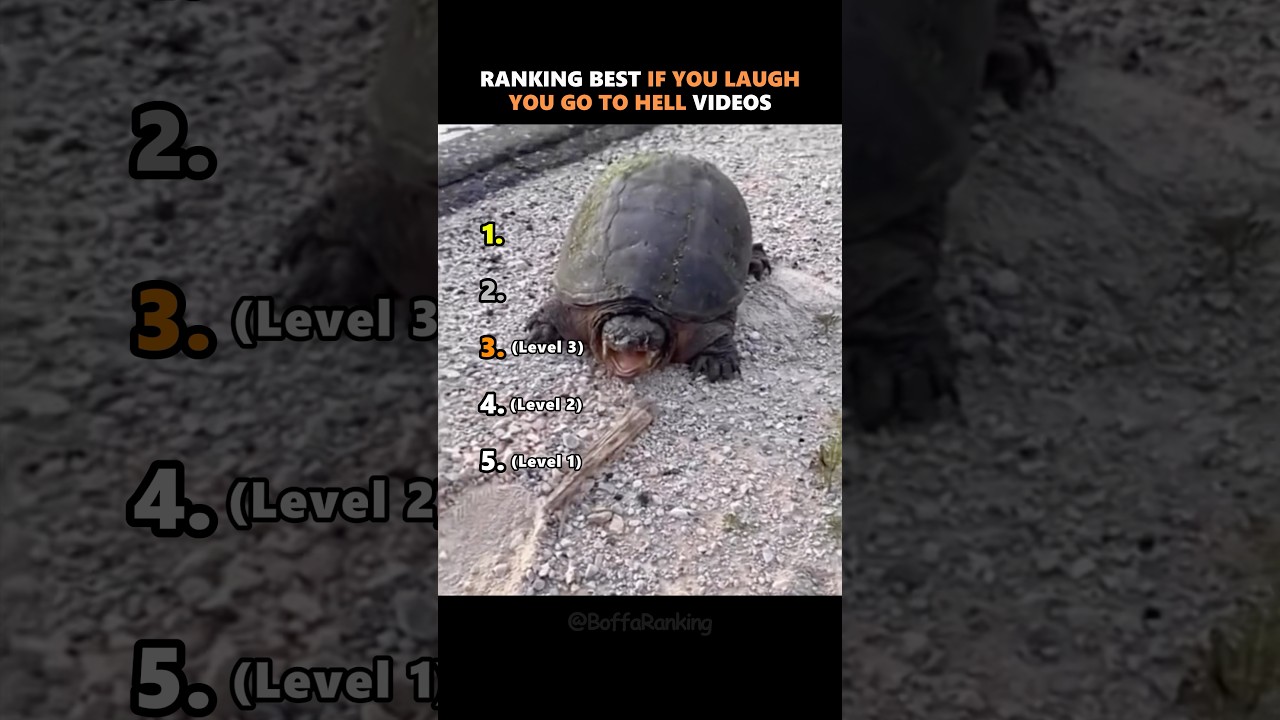 Ranking The Best If You Laugh You Go To Hell Videos 