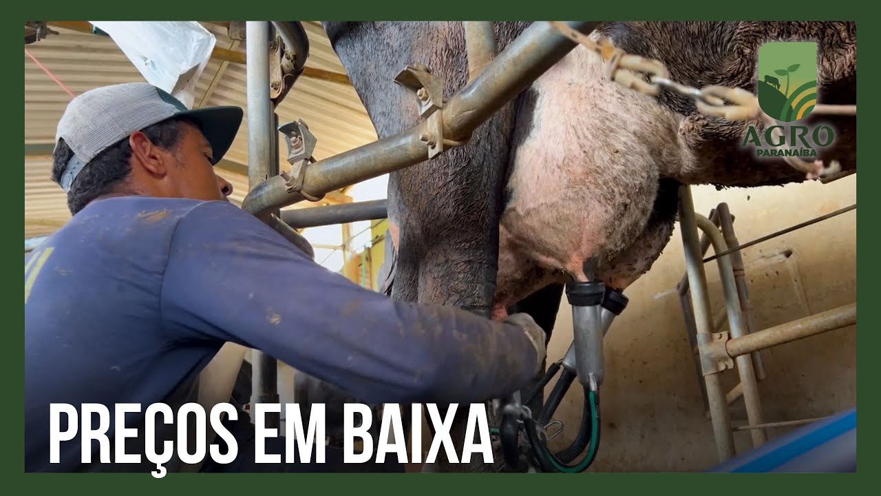 Crise no leite: governo federal nega antidumping para o setor