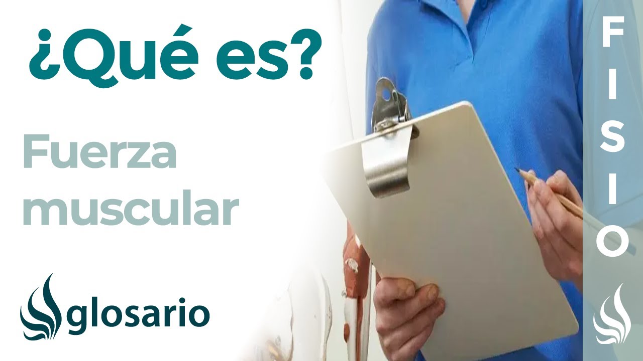 FUERZA MUSCULAR | Qu&eacute; es, c&oacute;mo se entrena e importancia para el sistema musculoesquel&eacute;tico