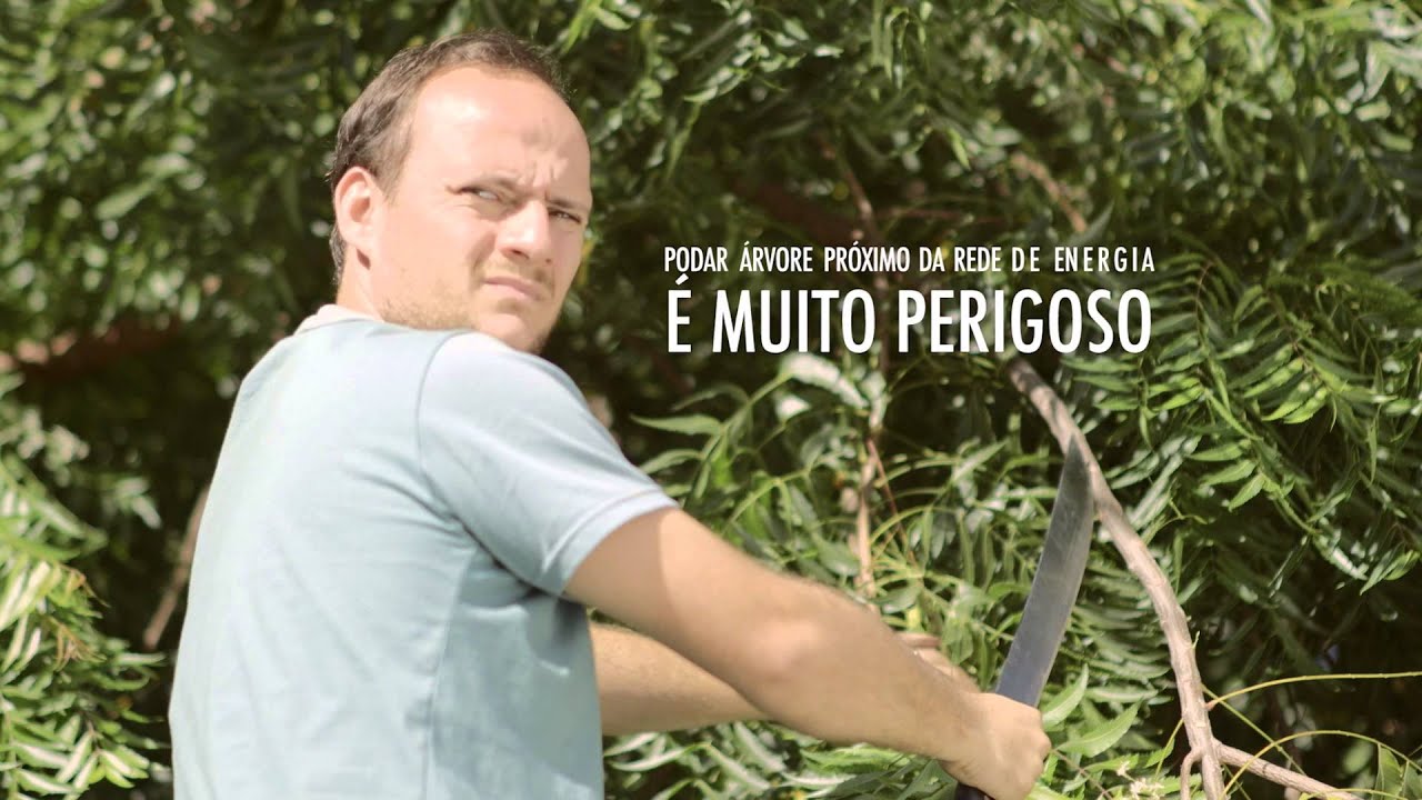 Energisa | Poda de &aacute;rvores: cuidado com a rede el&eacute;trica!