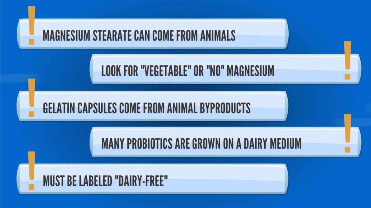 Best Vegan & Vegetarian Probiotic Supplement