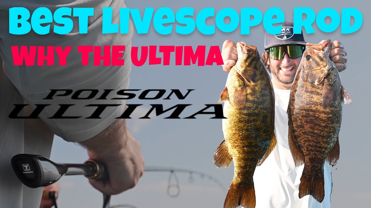 Why the Jackall Poison Ultima is the ULTIMATE SCOPING Rod for FFS