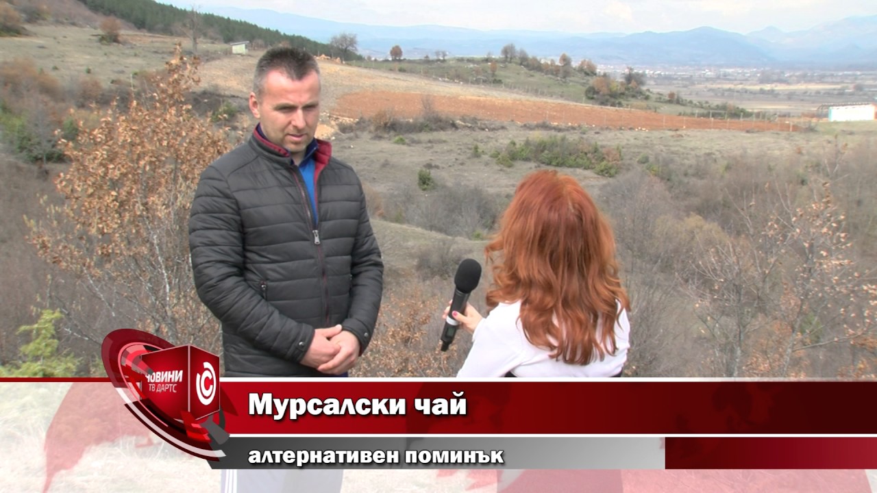 Мурсалски чай - алтернативен поминък