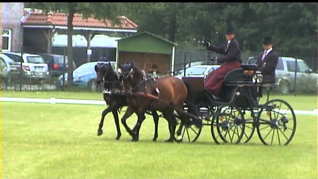 LÄHDEN 2012: MARCO FREUND/ DRESSUR