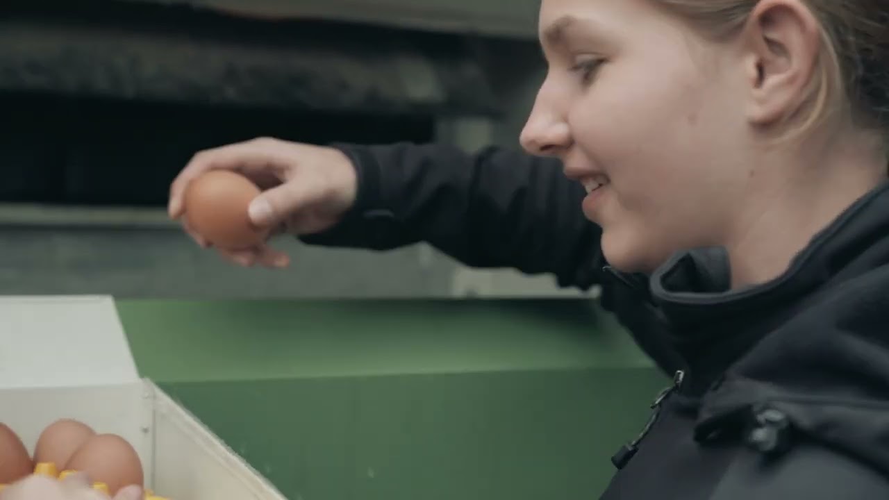 HBLA Elmberg - Imagevideo