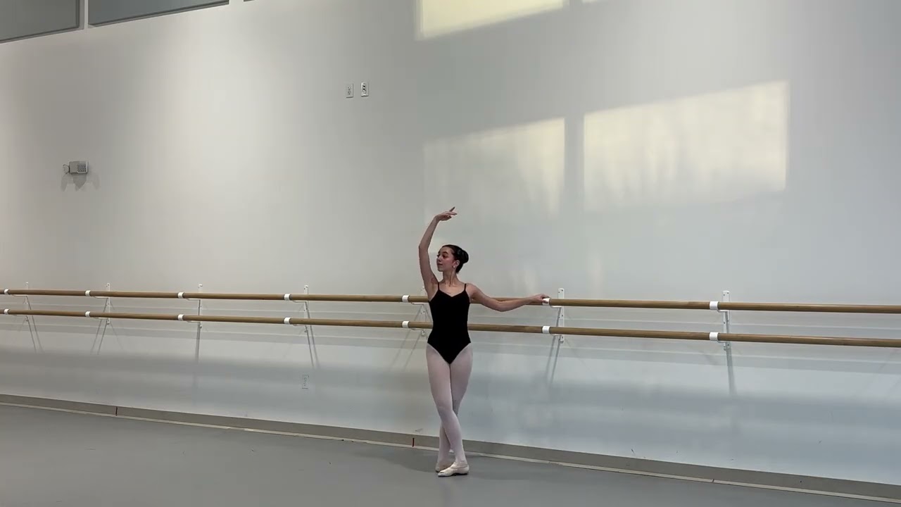 Video audition 2026