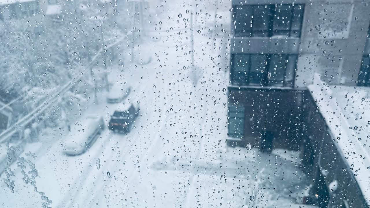 Meu Dia Amanheceu Com Nevasca, Sorro Verão Me Salva!!☃️😂☀️