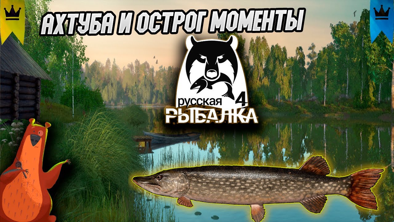 Русская Рыбалка 4 Лучшее за неделю!!!  Russian fishing 4 | #рр4 #rf4