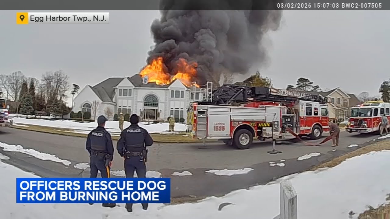 Bodycam video shows officers rescuing dog from burning home