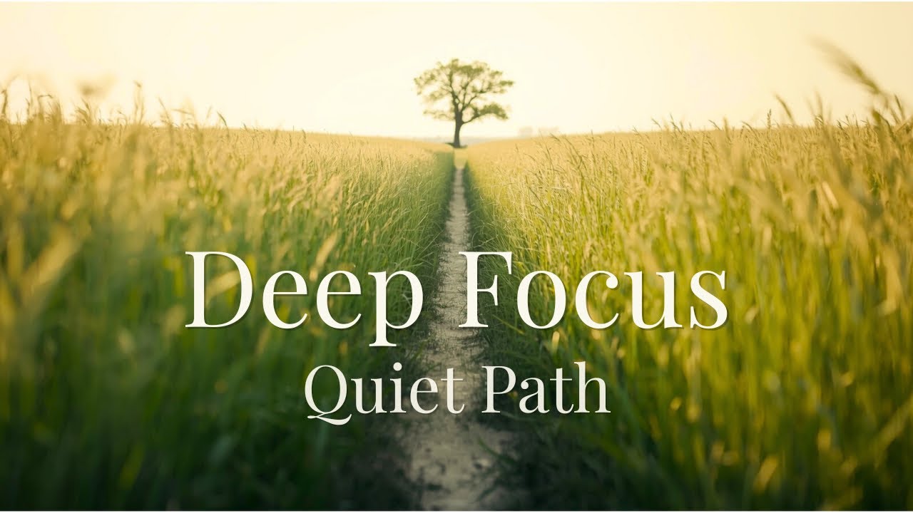 10 Hours Lofi for Deep Focus｜作業・長時間集中｜草原に続く静かな一本道、思考が途切れず進む時間｜Sunlit Meadow Lo-Fi