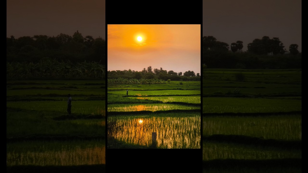 Vivo X100 Pro | Snapshot Mode | Sunset Photography from train #vivox100pro