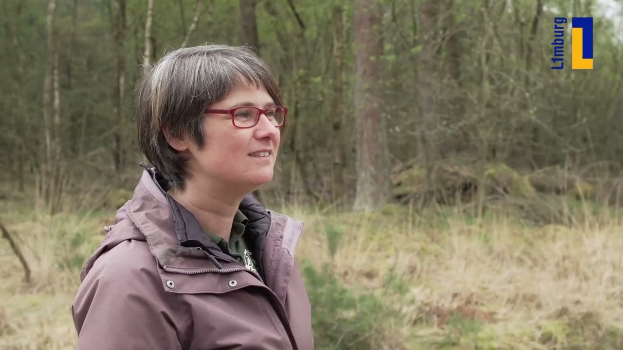 Natuur en Zo TV: bos voor de toekomst