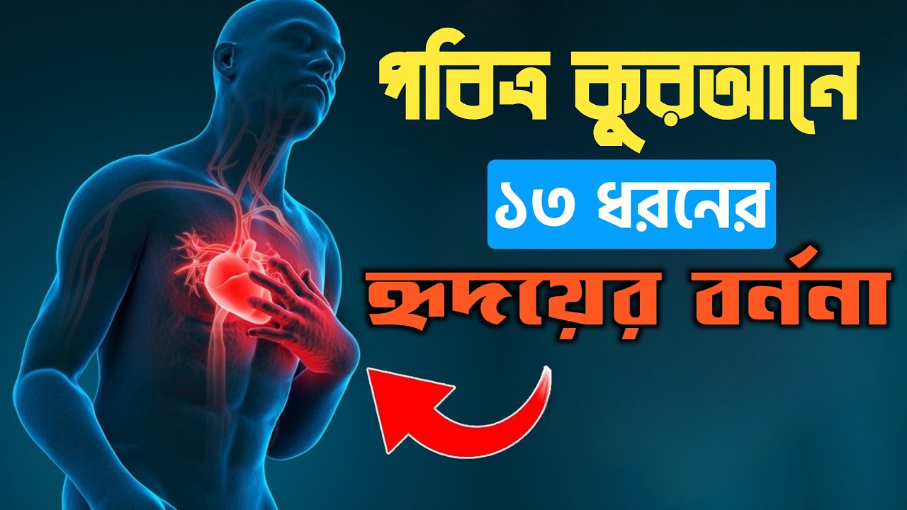 কুরআনে ১৩ ধরনের হৃদয়ের বর্ণনা আছে,সেগুলো কি কি || Hridoy || Heart || Soul