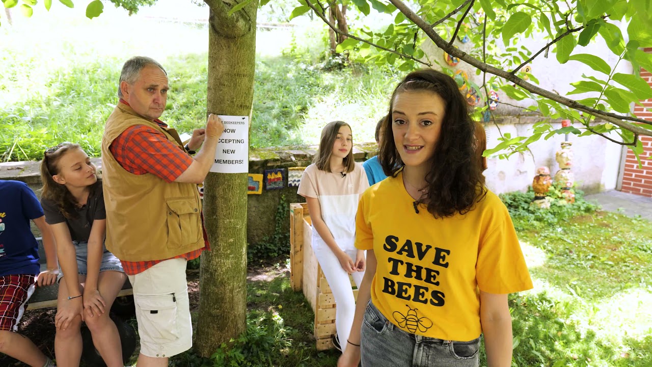 Beekeeping in 21st century