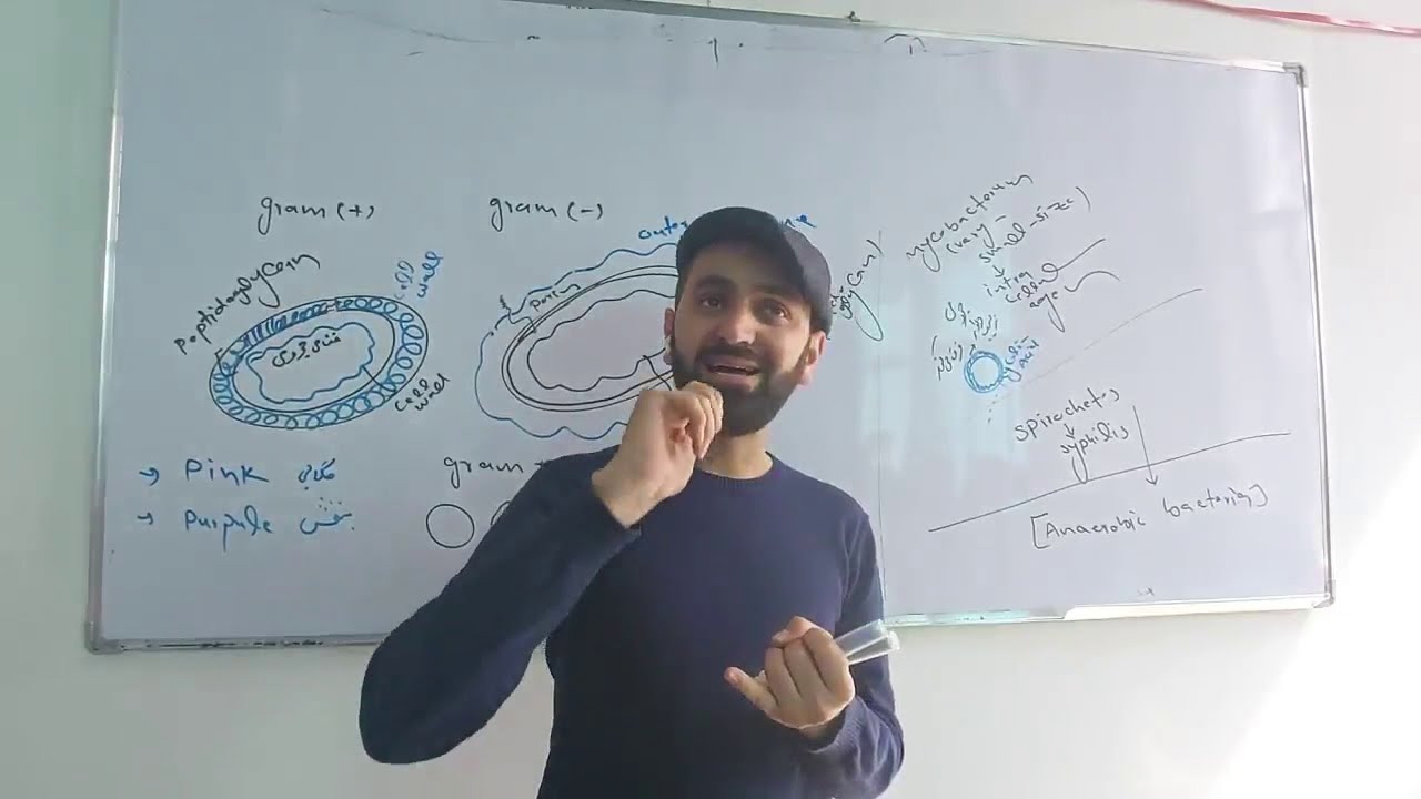 آنتی بیوتیک ها چگونه کار می کنند؟ | Mechanism of Action