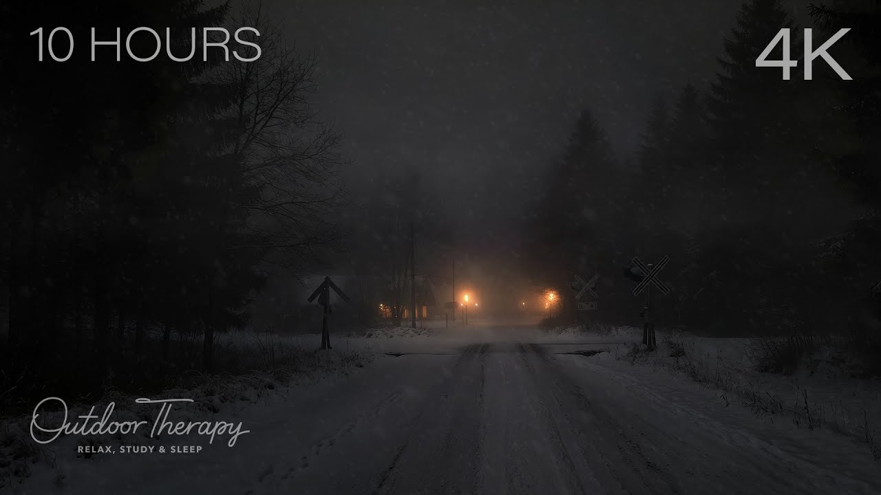 Winter Fog at Pinecrest Crossing | Snowfall, Wind & Low Visibility Ambience | 10 HOURS | 4K