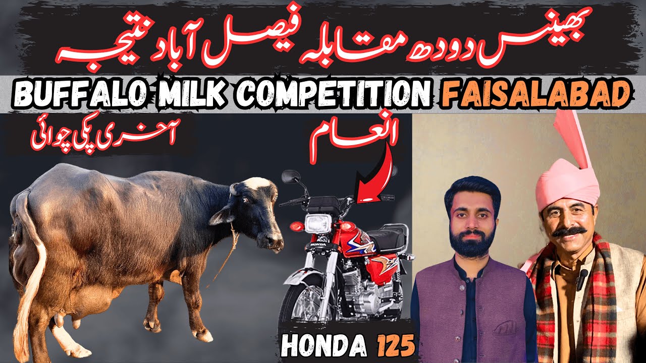 Buffalo Milk Competition FSD Final Result Milk Record 47.540 kg | Hafiz Abdullah Bhains Doodh Mela