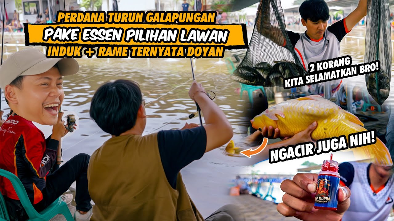 HEBOH! BABON 18 JUTA KEANGKUT, SEKOLAM AUTO TERKEJUT! GALAPUNG TELAGA SILET FT NOERWAN CAHYA