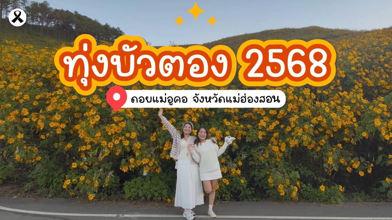 Travel Buddy EP.33 ดอกบัวตองนั้นบานอยู่บนยอดดอย